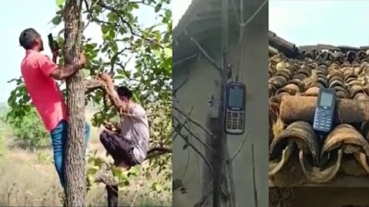 डिजिटल युग में भी संघर्ष: मोबाइल सिग्नल के लिए पेड़ों पर चढ़ रहे लोग